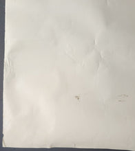 Load image into Gallery viewer, 43766205