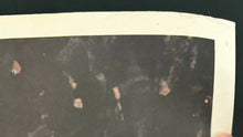 Load image into Gallery viewer, 47733652