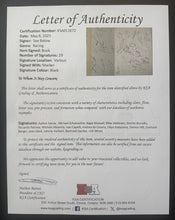 Load image into Gallery viewer, 45829079