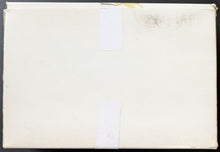 Load image into Gallery viewer, 44412441