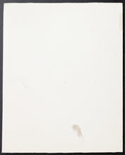 Load image into Gallery viewer, 44693433