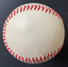 Load image into Gallery viewer, 43854238