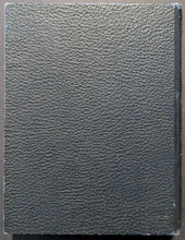 Load image into Gallery viewer, 46437530