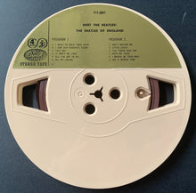 Load image into Gallery viewer, 45277541