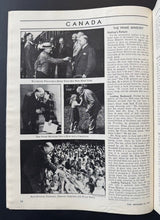 Load image into Gallery viewer, 44462788