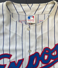Load image into Gallery viewer, Larry Walker Autographed Ravens Retail Replica Montreal Expos Signed MLB JSA