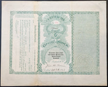 Load image into Gallery viewer, 43854226