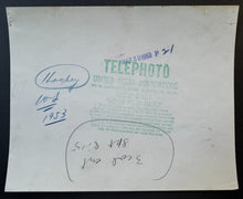 Load image into Gallery viewer, 43766192