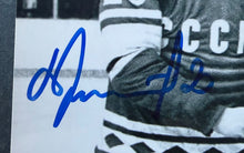 Load image into Gallery viewer, 46972477