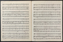 Load image into Gallery viewer, 45312929