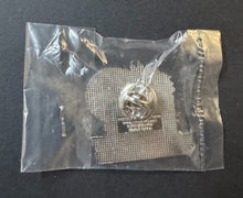 Load image into Gallery viewer, 2004 MLB World Series Champion Boston Red Sox Boston Globe Pin Collection x25