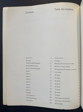 Load image into Gallery viewer, 44368119