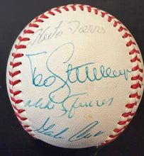 Load image into Gallery viewer, 46407966