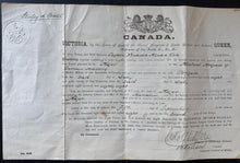 Load image into Gallery viewer, 46833803