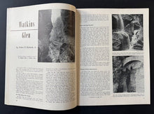 Load image into Gallery viewer, 44462780