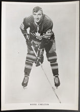 Load image into Gallery viewer, 44462818