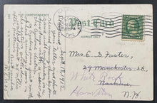 Load image into Gallery viewer, 43741077