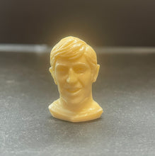 Load image into Gallery viewer, 45323017