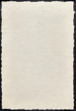 Load image into Gallery viewer, 46530250