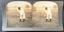Load image into Gallery viewer, 44328243