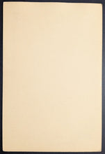 Load image into Gallery viewer, 47201890