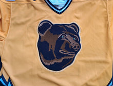 Load image into Gallery viewer, 1995-96 Dave Reid Pooh Bear Boston Bruins Alternate CCM Customized Jersey NHL