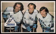 Load image into Gallery viewer, 1973-74 World Hockey Association Complete Set Of 20 Vintage Posters Gordie Howe