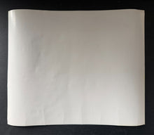 Load image into Gallery viewer, 47159648