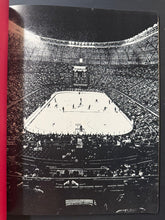 Load image into Gallery viewer, 43766193