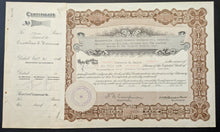 Load image into Gallery viewer, 43876605