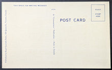 Load image into Gallery viewer, 43976631