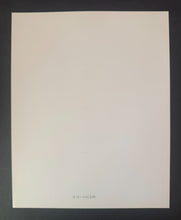 Load image into Gallery viewer, 45323011