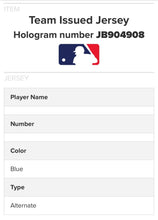 Load image into Gallery viewer, 2018 Lourdes Gurriel Blue Jays Issued Players Weekend Baseball Jersey MLB Holo