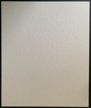 Load image into Gallery viewer, 47454079