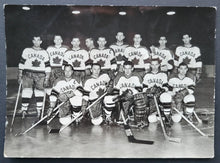 Load image into Gallery viewer, 43884767