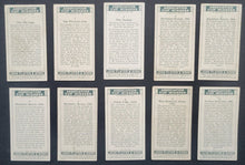 Load image into Gallery viewer, 43814364