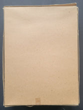 Load image into Gallery viewer, 43943727