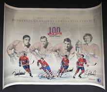 Load image into Gallery viewer, 43734476