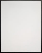 Load image into Gallery viewer, 47330626