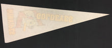 Load image into Gallery viewer, 1994 Winnipeg Goldeyes Baseball Club Northern League Vintage Baseball Pennant