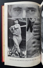 Load image into Gallery viewer, 45012260