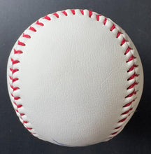 Load image into Gallery viewer, 43976582