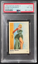 Load image into Gallery viewer, 43724574