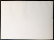 Load image into Gallery viewer, 47255802