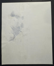 Load image into Gallery viewer, 43690096