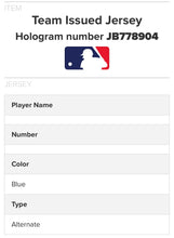 Load image into Gallery viewer, 2017 Roberto Osuna Team Issued Toronto Blue Jays Spring Training Jersey MLB Holo