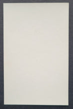 Load image into Gallery viewer, 43884784