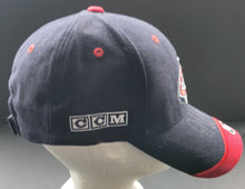 Load image into Gallery viewer, 43884786