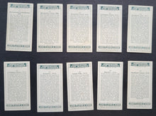 Load image into Gallery viewer, 43814364