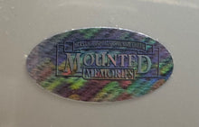 Load image into Gallery viewer, 43976579